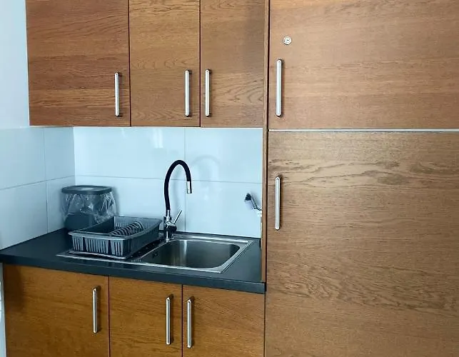 Apartment Platan 17 *